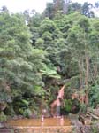 img_2210r