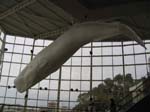 img_2373r